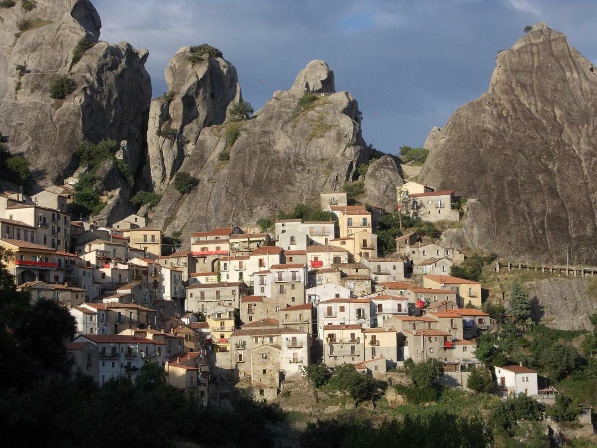 Notti Di Luna Potenza